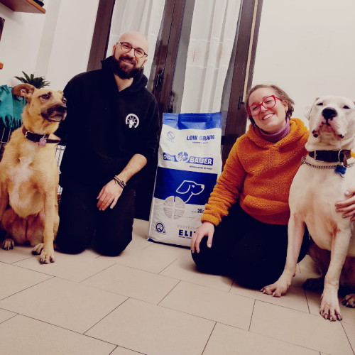 Meticcio e Dogo