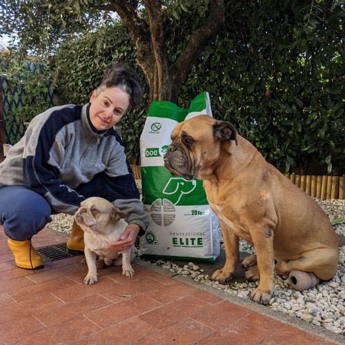 Bullmastiff e Bouledogue Francese