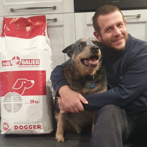 Australian Cattle Dog