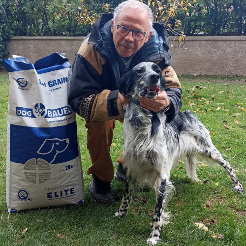 Setter Inglese