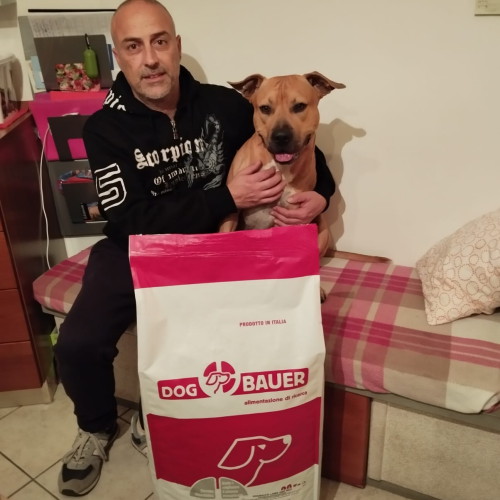 Amstaff
