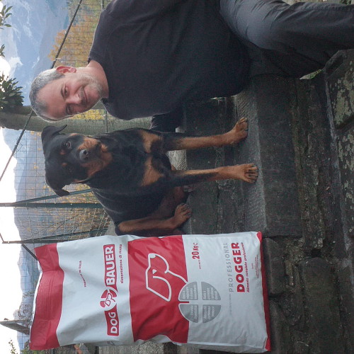 Rottweiler