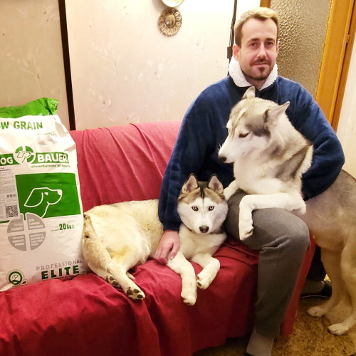 Siberian Husky