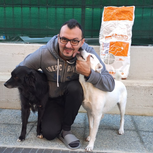 Due Cani Felici