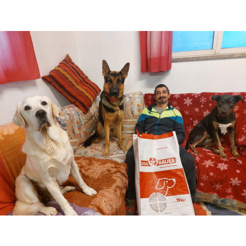 Tre Cani Felici