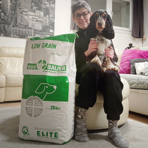 Cocker Spaniel Villa Villacolle