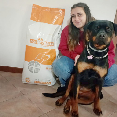 Rottweiler