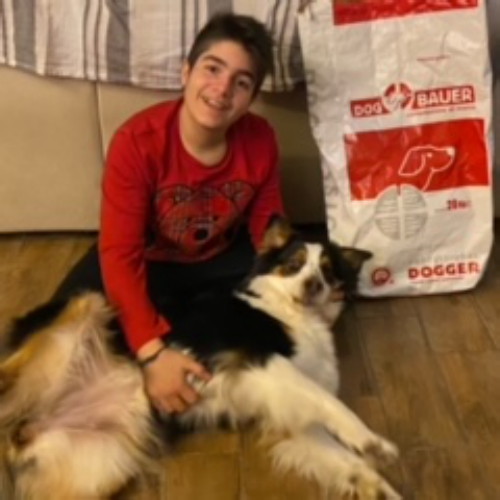 Australian Shepherd
