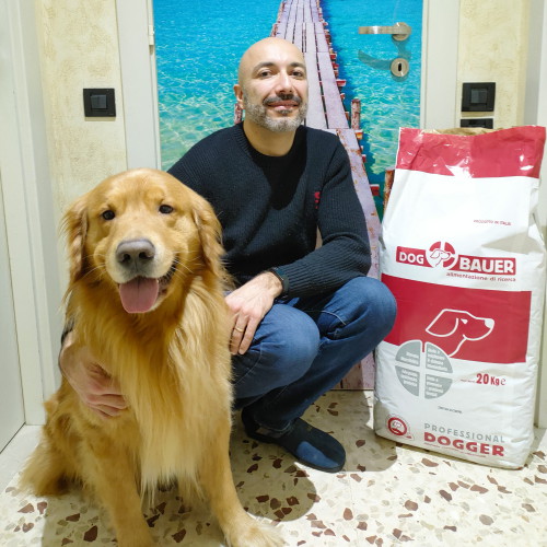 Golden Retriever