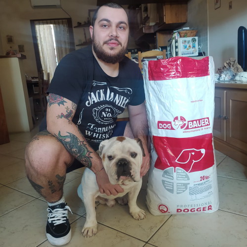 Bulldog Inglese