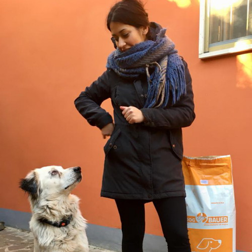 Cane adottato dal canile