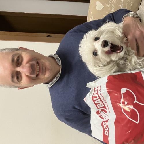 Maltese