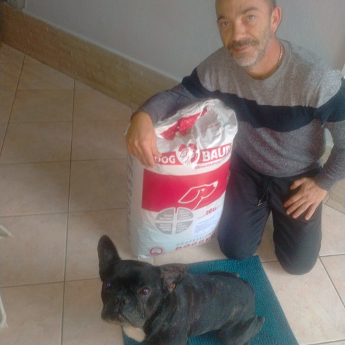 Bouledogue Francese
