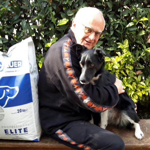 Border Collie a Pelo Corto