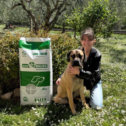 Cane Corso Cucciolone