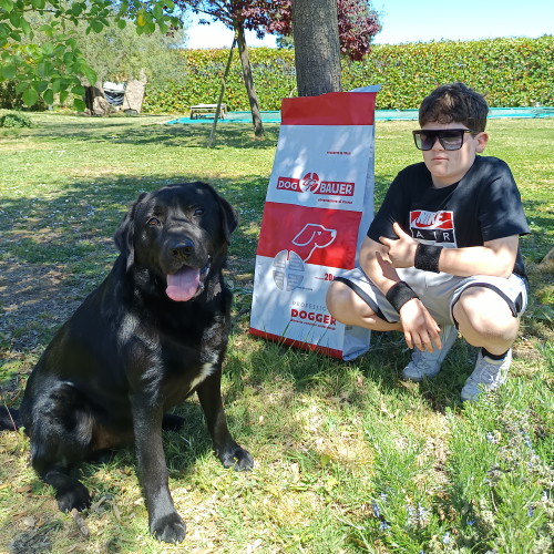 Labrador Nero