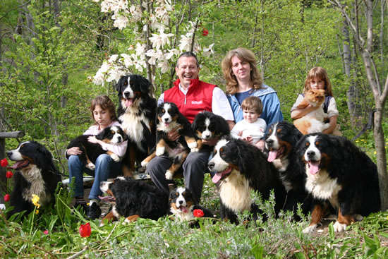 alimentazione del cane bovaro del bernese