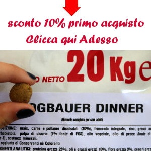 Crocchetta dogbauer Dinner