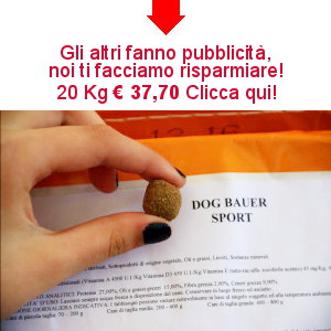 crocchette per bracco tedesco