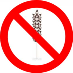 Crocchette per cani Grain Free