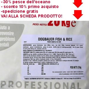 migliori crocchette per labrador