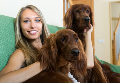 Setter Irlandesi sul divano con signora - www.dogbauer.it