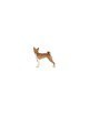 Basenji