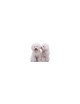 Bichon Frisé