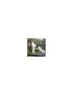 Fox Terrier