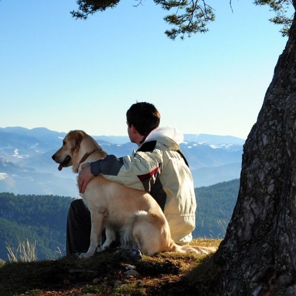 Perché la Zeolite Può Far Bene al Tuo Cane?